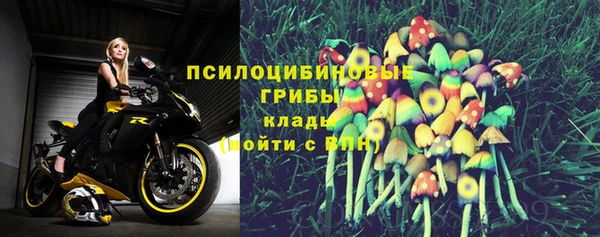 каннабис Новодвинск