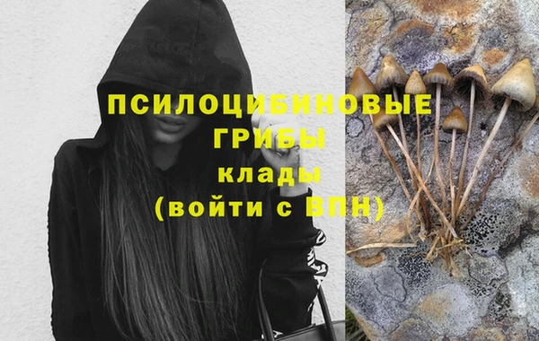 каннабис Новодвинск