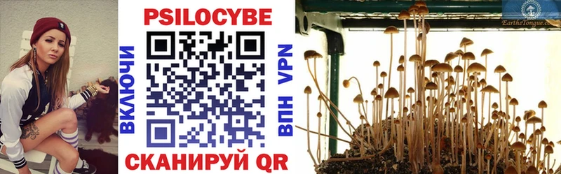 Галлюциногенные грибы GOLDEN TEACHER  Эртиль 